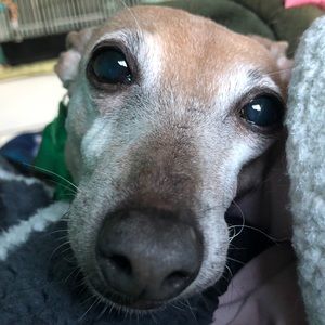 Meet your Posher, Mackenzie